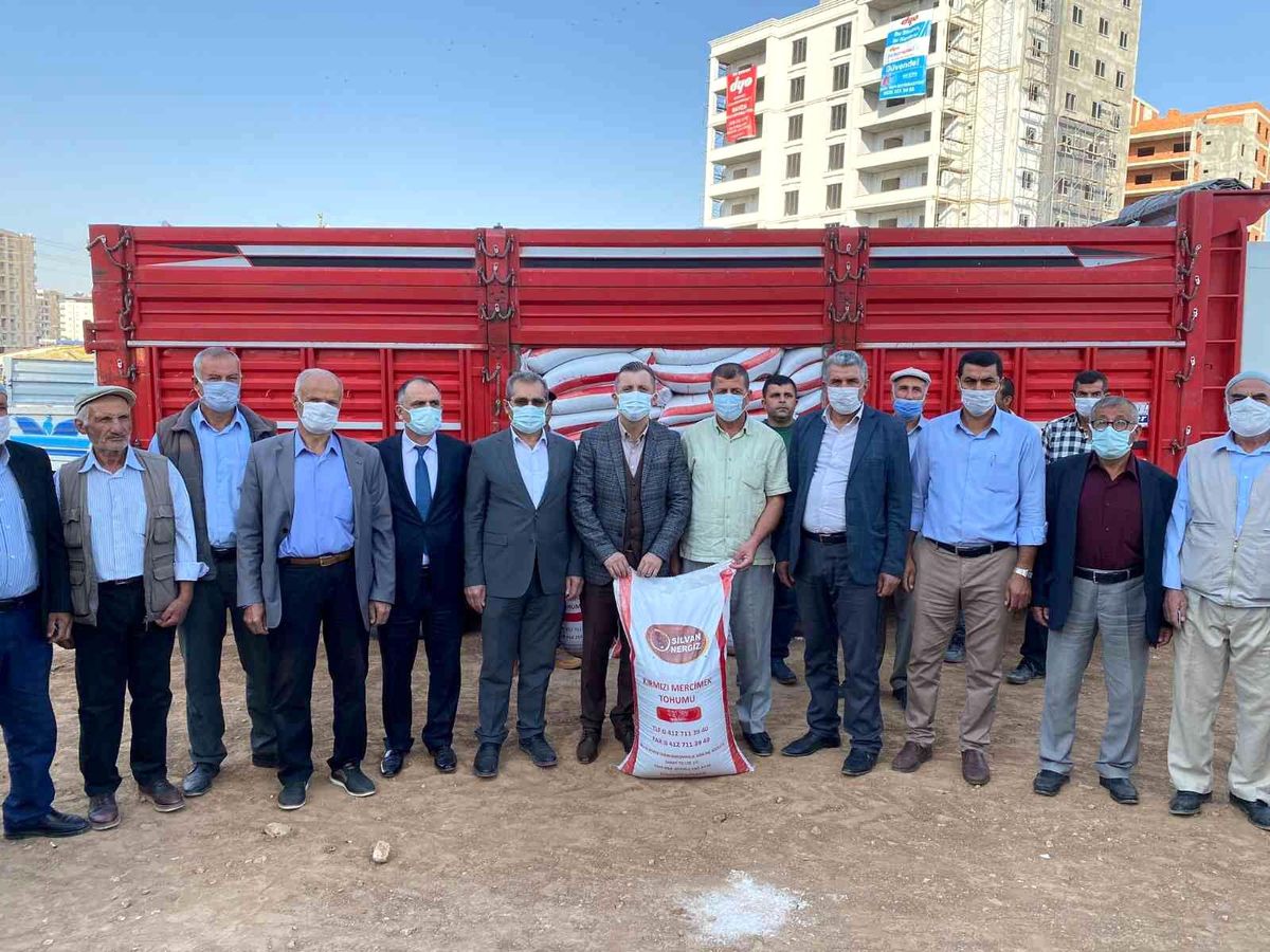 Çiftçilere yüzde 75 hibe ile tohum dağıtıldı