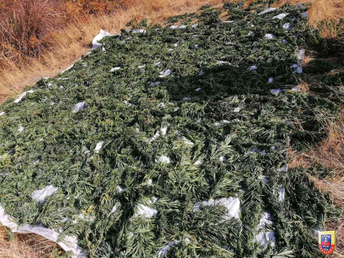 Diyarbakır\'da 1 ton 817 kilogram esrar ele geçirildi