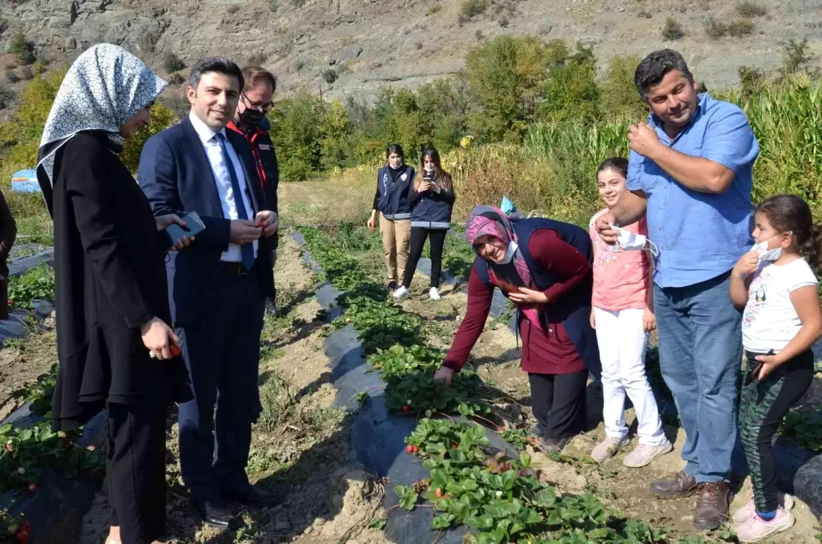 Hanönü\'nde 15 Ekim Dünya Kadın Çiftçiler Günü kutlandı