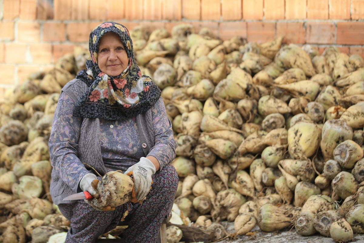 Kırklareli\'nin köylerinde çiftçilik yapan kadınlar, topraklarını şehir yaşamına değişmiyor
