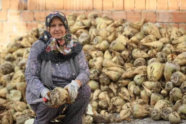 Kırklareli'nin köylerinde çiftçilik yapan kadınlar, topraklarını şehir yaşamına değişmiyor