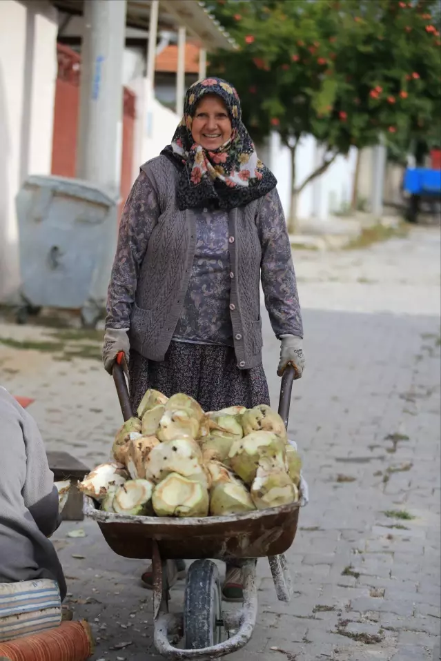 Kırklareli'nin köylerinde çiftçilik yapan kadınlar, topraklarını şehir yaşamına değişmiyor