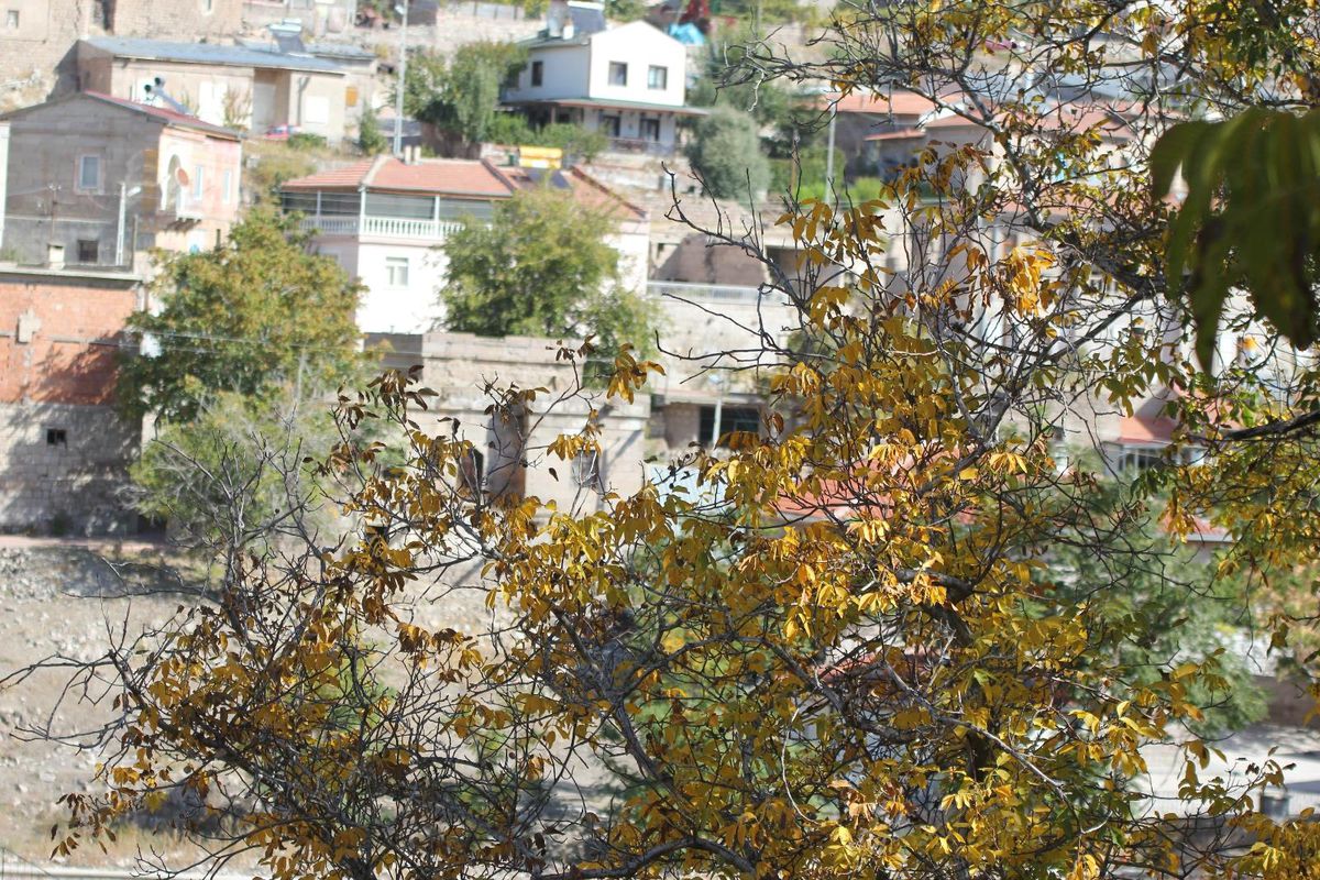 Koramaz\'da renk cümbüşü