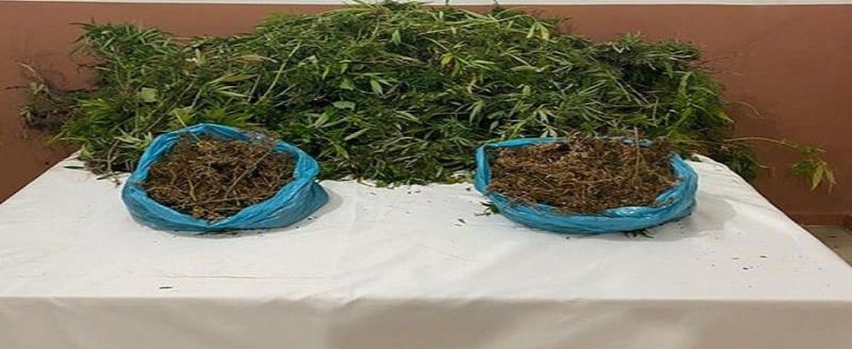 Erdek\'te uyuşturucu operasyonunda 1 kişi yakalandı