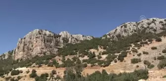 GAZİANTEP - Dağcı Erdek Cennet, 37. tırmanışını gerçekleştirdi