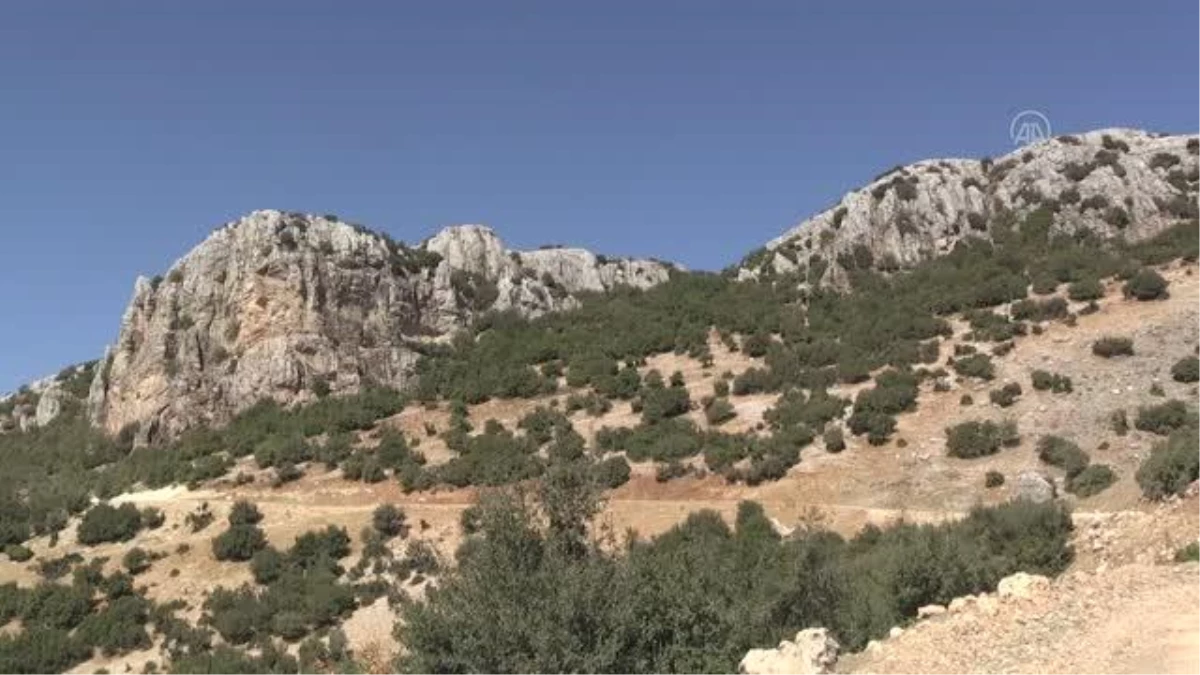 GAZİANTEP - Dağcı Erdek Cennet, 37. tırmanışını gerçekleştirdi