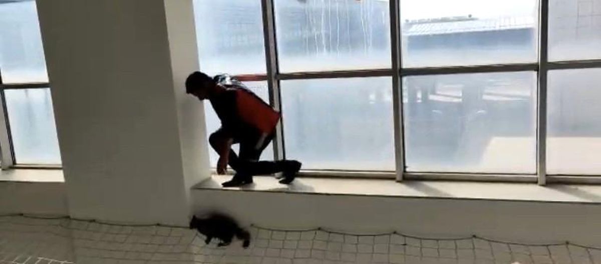 Son dakika haberi! Hastanede mahsur kalan kedi itfaiye ekipleri tarafından kurtarıldı