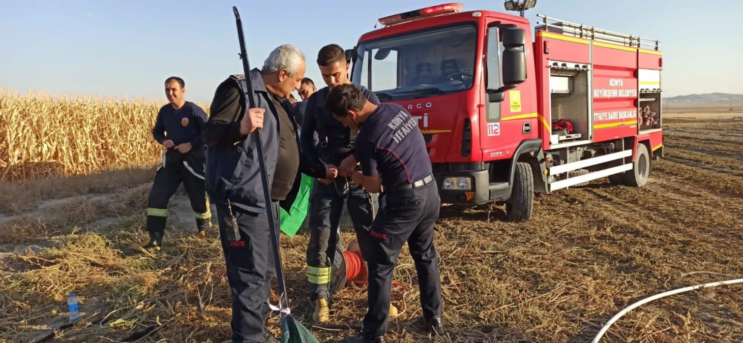 Obruğa düşen tilki kurtarıldı