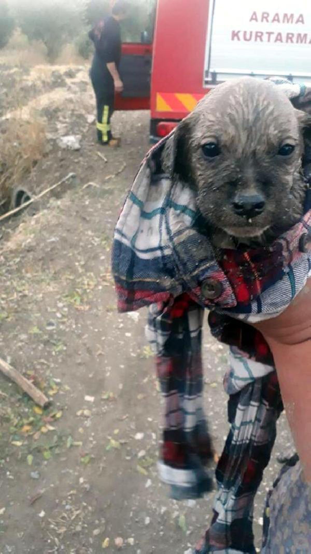 Menfezde Mahsur Kalan 7 Yavru Köpek Kurtarıldı