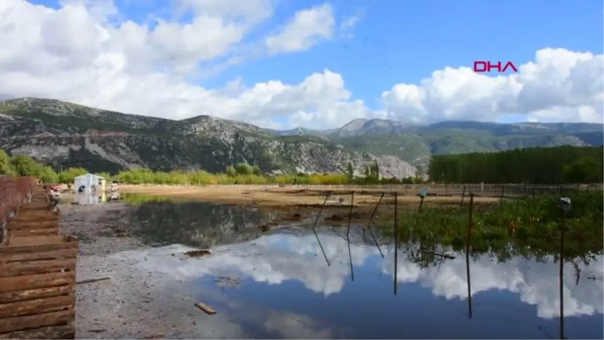 Muğla\'da şiddetli yağış; tarım arazilerini su bastı, hayvanlar öldü