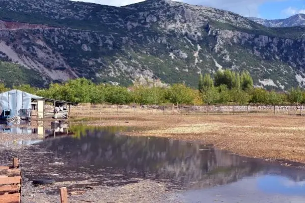 Muğla'da şiddetli yağış; tarım arazilerini su bastı, hayvanlar öldü