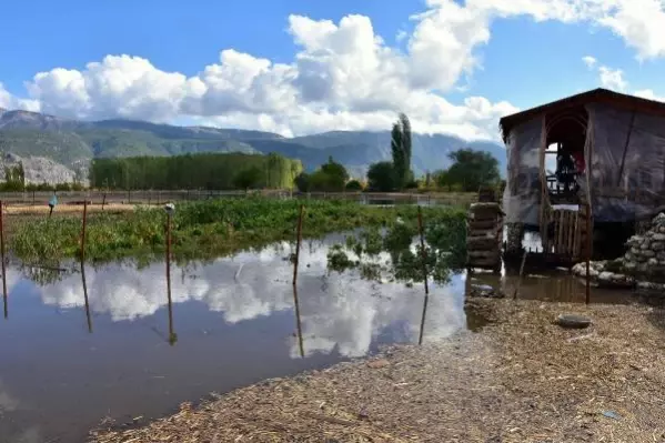 Muğla'da şiddetli yağış; tarım arazilerini su bastı, hayvanlar öldü