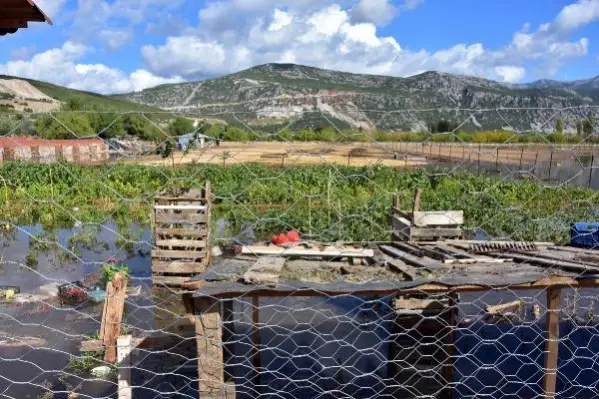 Muğla'da şiddetli yağış; tarım arazilerini su bastı, hayvanlar öldü