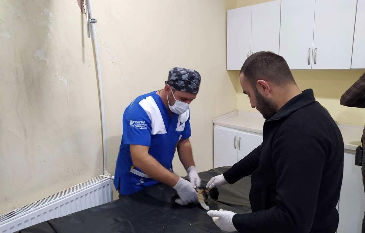 Sokak hayvanlarına polis şefkati