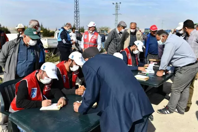 Türkiye'deki buğday ve arpa açığını bu yıl Başkentli çiftçi kapatacak