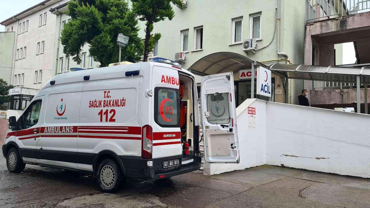 Alaplı\'da 2 kişi yediği mantardan zehirlendi