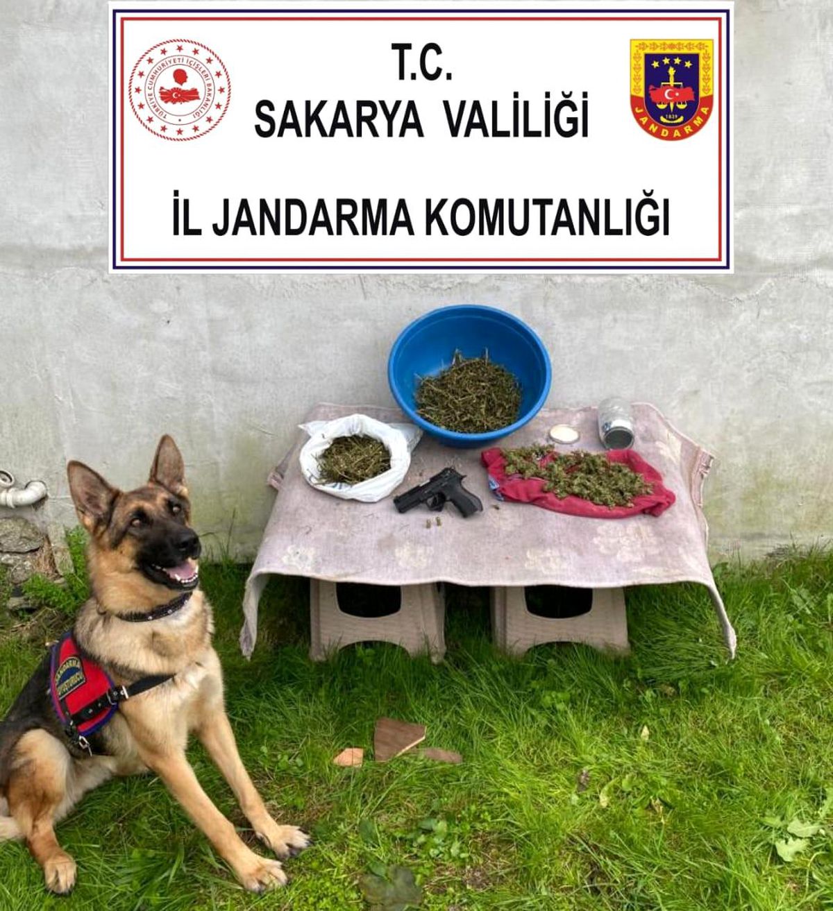 Sakarya\'da 1 kilo 500 gram esrar ele geçirildi
