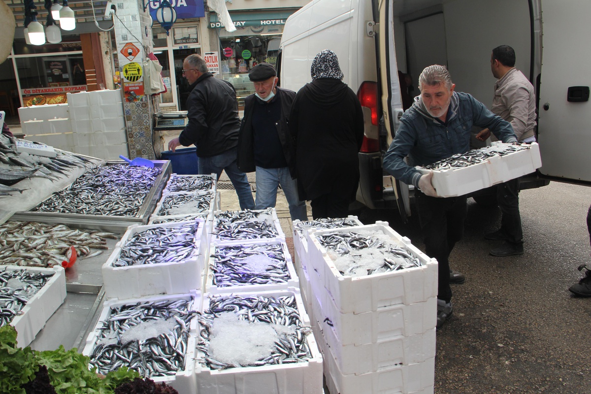 Tezgahlarda balık fiyatları 15 ile 100 lira arasında değişiyor