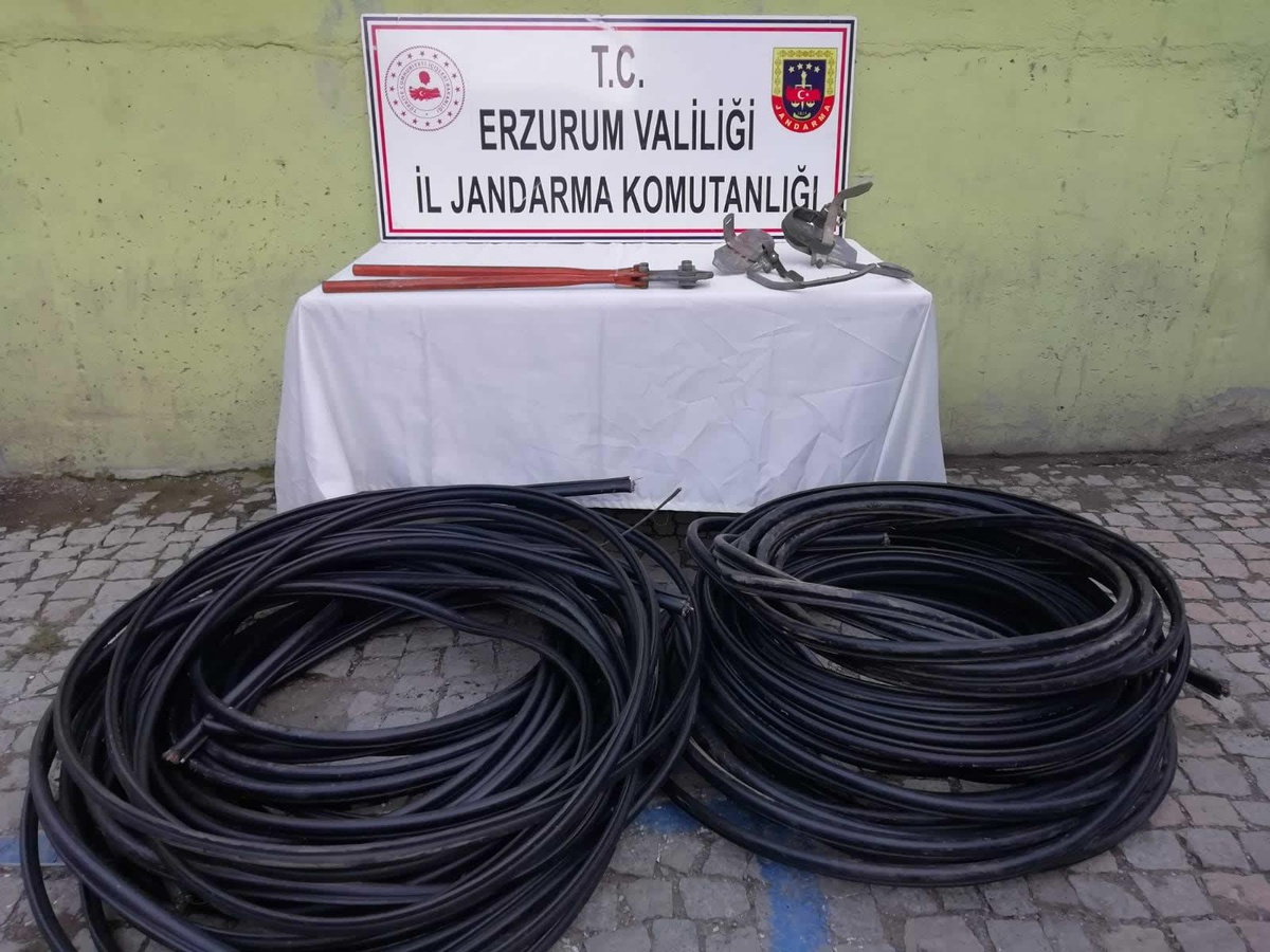 Erzurum\'da kablo hırsızlığı yaptıkları iddiasıyla 3 kişi yakalandı