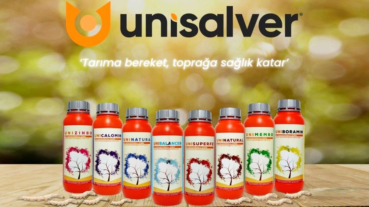 İpekböceği gübresi rekolteyi coşturuyor