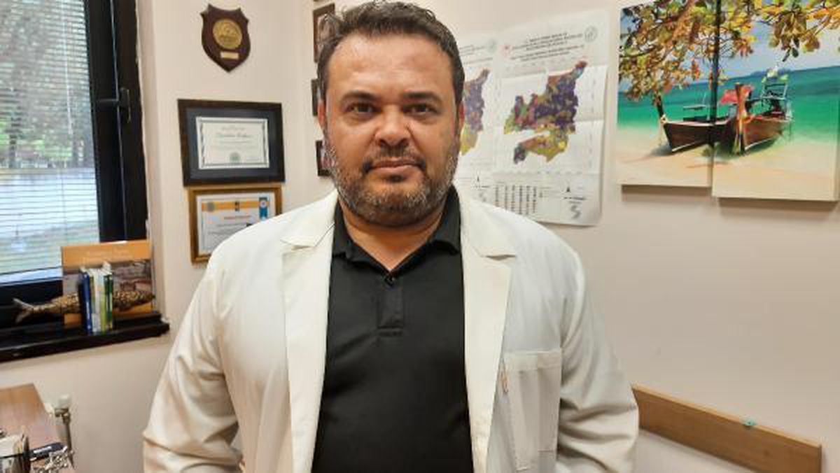 İzmit Körfezi\'nde binlerce ölü denizanası kıyıya vurdu (2)
