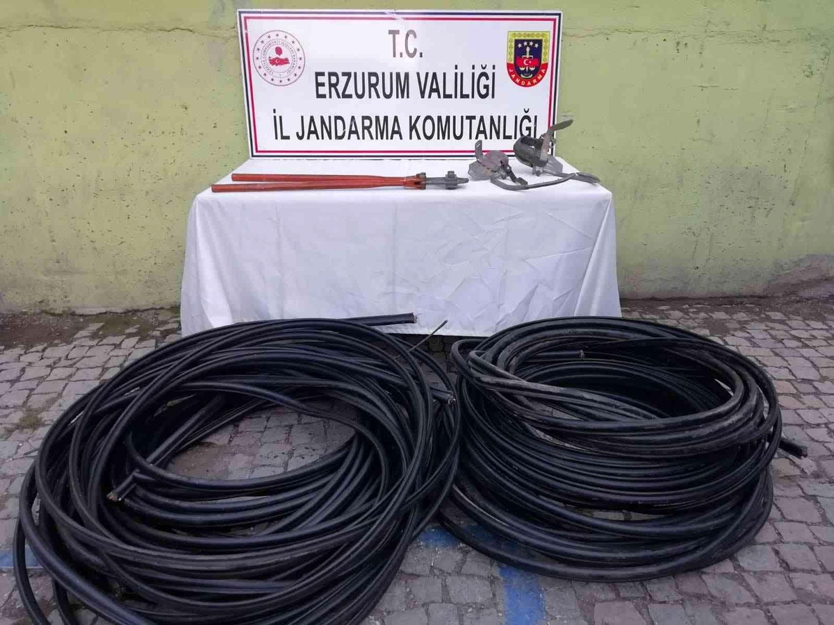 Son dakika... Kablo hırsızları jandarmadan kaçamadı
