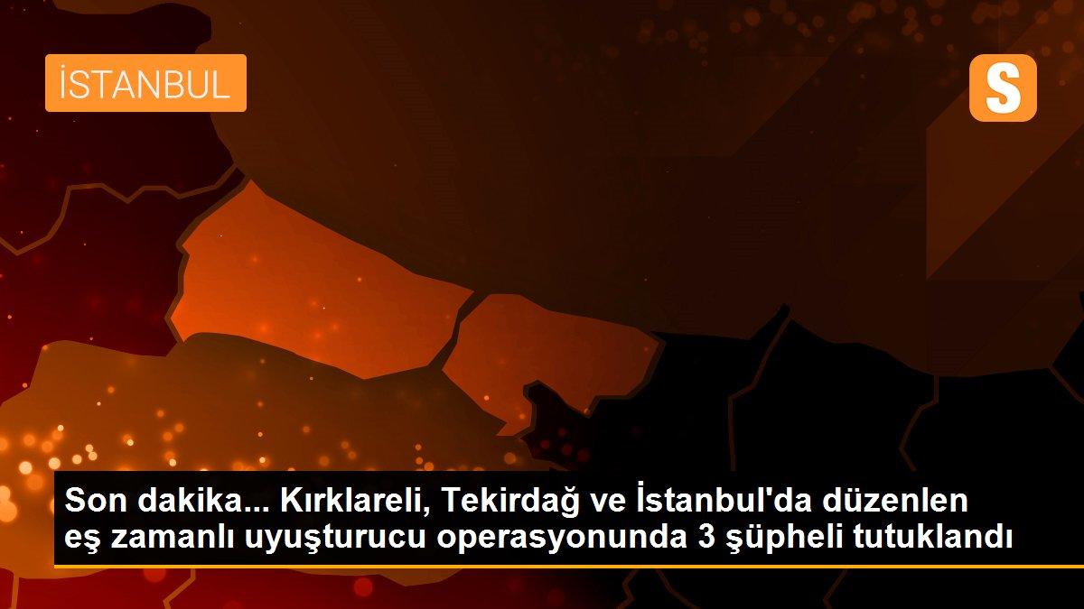 Son dakika... Kırklareli, Tekirdağ ve İstanbul\'da düzenlen eş zamanlı uyuşturucu operasyonunda 3 şüpheli tutuklandı