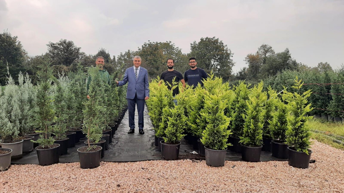 Sakarya\'da belediyenin ürettiği fidanların Türkiye\'nin her bölgesine gönderilmesi hedefleniyor