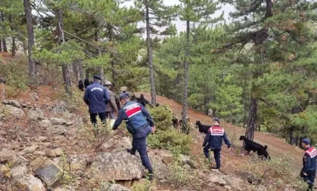 Uşak'ta jandarma, kaybolan keçileri drone ile buldu