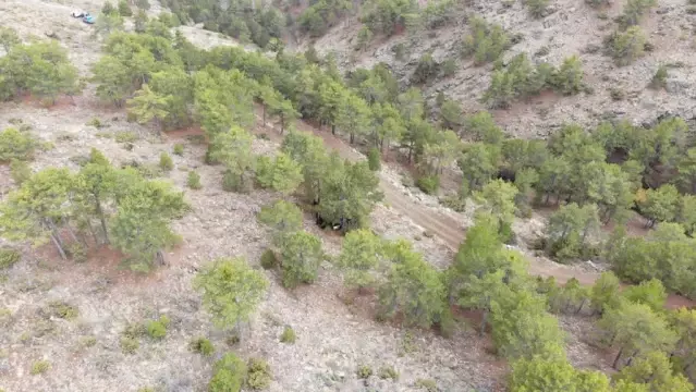 Uşak'ta jandarma, kaybolan keçileri drone ile buldu