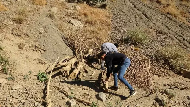 Yüksekova'da zorlu kış hazırlığı: 2 bin rakımda topladıkları odunları sırtlarında 5 kilometre taşıyorlar