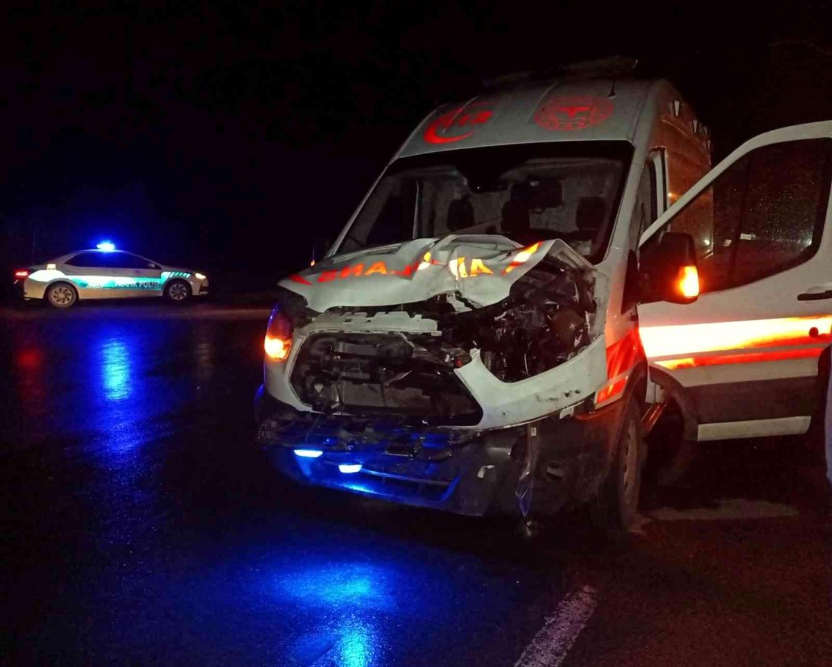 Ambulansın çarptığı inek telef oldu