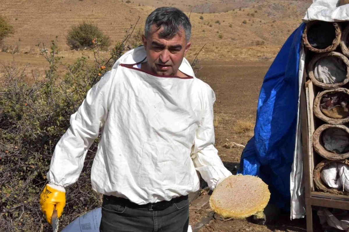 Bitlis\'in meşhur karakovan balının hasadına başlandı