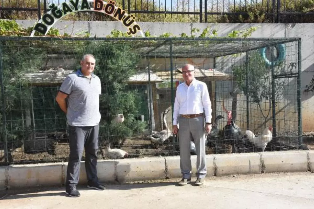 ÇİFTLİK GİBİ OKUL BAHÇESİ