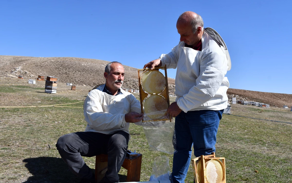 Hobisini kazanca dönüştüren girişimci yılda 7 ton bal üretiyor