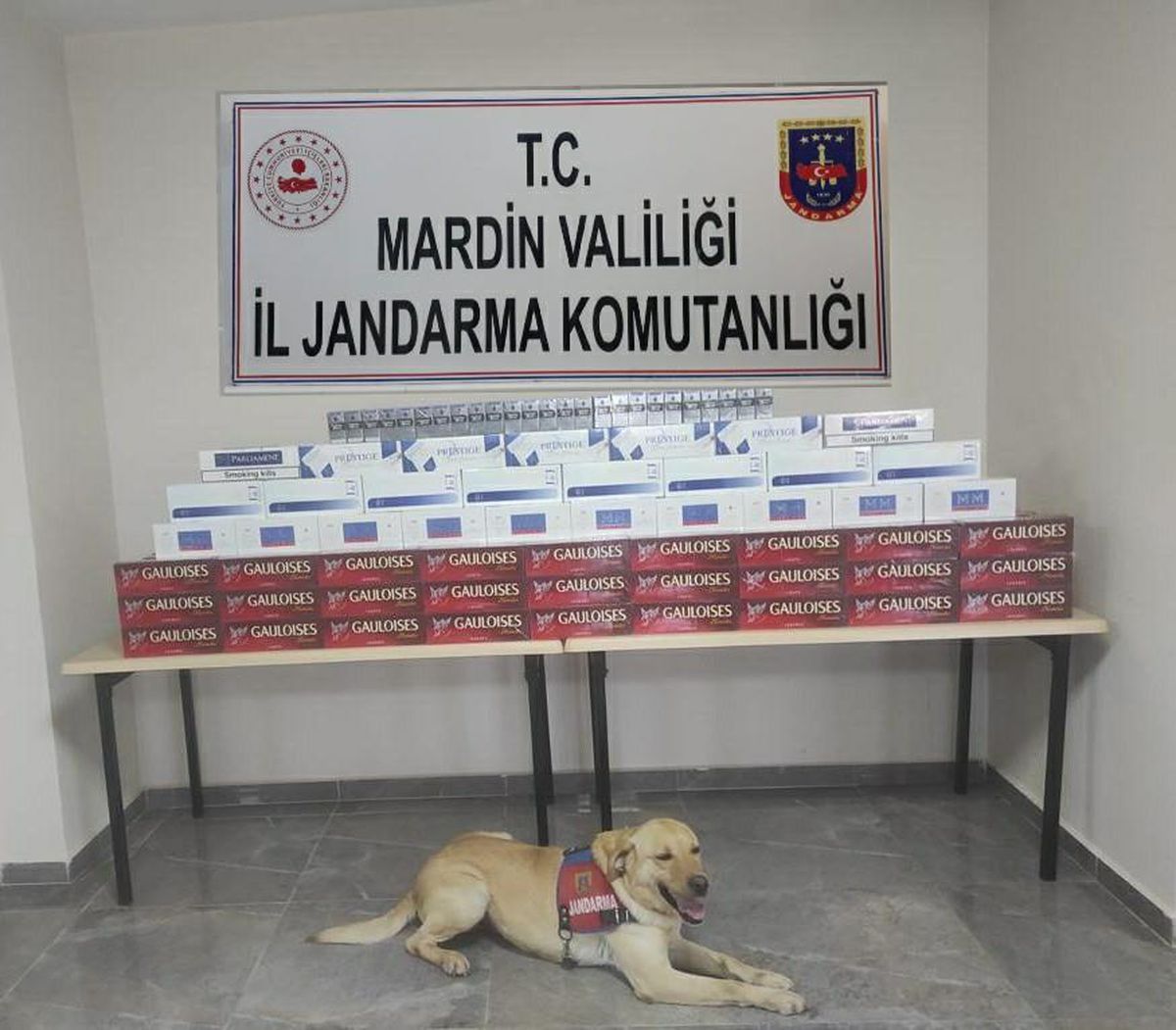 Mardin\'de kaçakçılık operasyonunda 23 şüpheli yakalandı