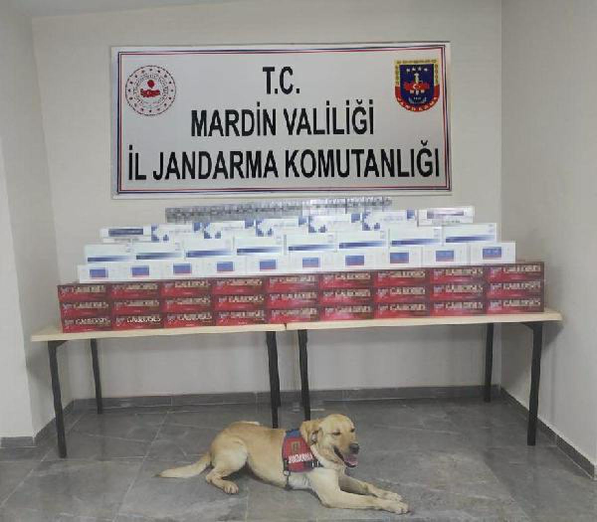 Otobüste kaçak 4 bin 360 paket sigara ve 160 şişe içki ele geçirildi