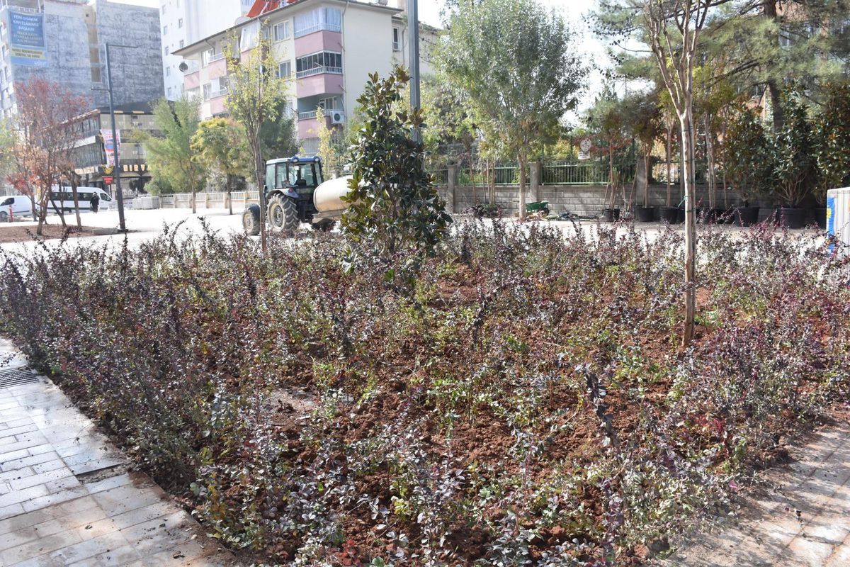 Siirt\'teki Güres Caddesinde ağaçlandırma çalışması yapıldı