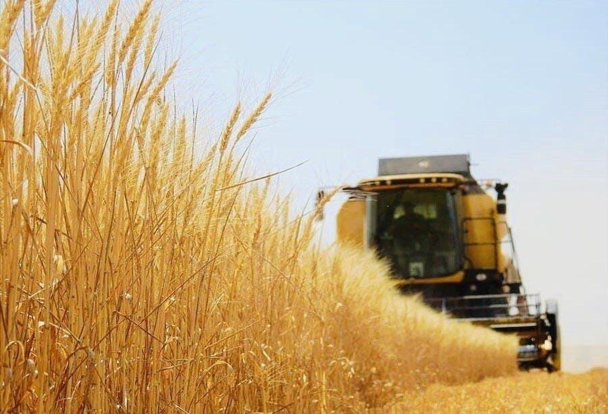 Tarımsal girdi fiyat endeksi ağustosta yıllık yüzde 28,74, aylık yüzde 0,93 arttı
