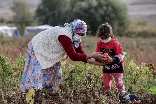 Türk kadınlarının ürettiği ev yapımı salçalar Avrupa yolunda