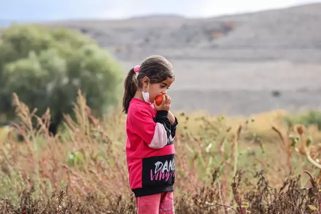 Türk kadınlarının ürettiği ev yapımı salçalar Avrupa yolunda