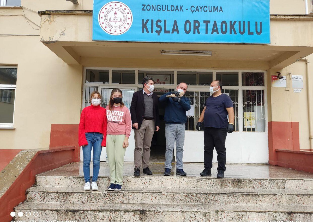 Zonguldak\'ta yaralı güvercin ve peçeli baykuş tedavi altına alındı