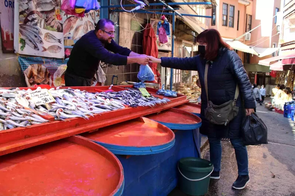 Balıkların padişahı çinekop ucuzlayınca kapışıldı