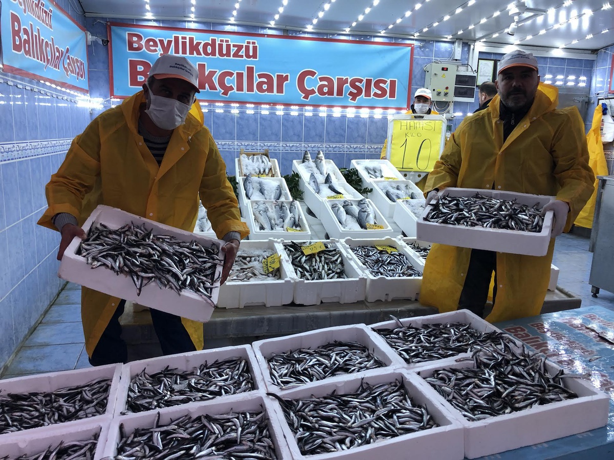 Yıllar sonra hamsinin kilosu 10 liraya düştü