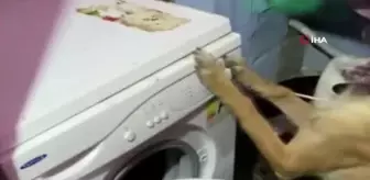 'Fırtına' fırtına gibi çalışıyor...Çamaşır makinesinden 13 kilo bonzai çıktı