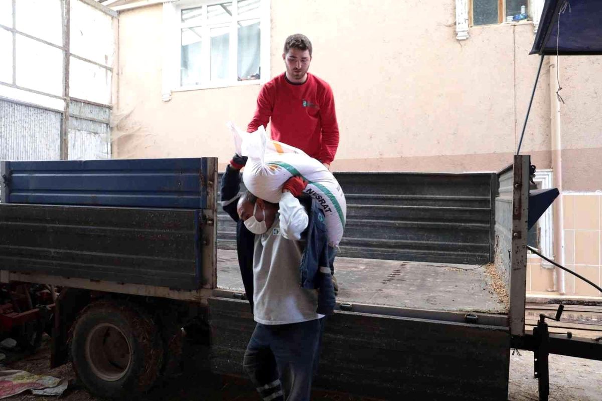 İzmit Belediyesi buğday dağıtımını sürdürüyor