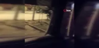 Son dakika haberleri! Kabak hırsızlığı kamerada... Terör gazisi esnaf: Çalmanıza gerek yok, ben size verirdim