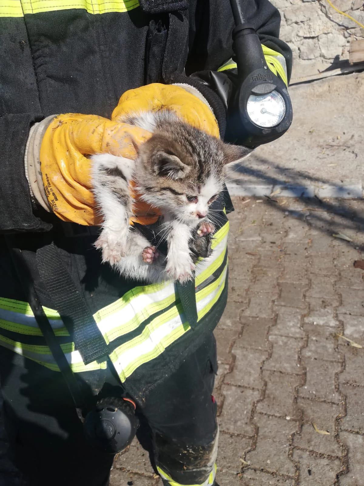 Konya\'da çıkan yangında kedi yavrusunu itfaiyenin dikkati kurtardı