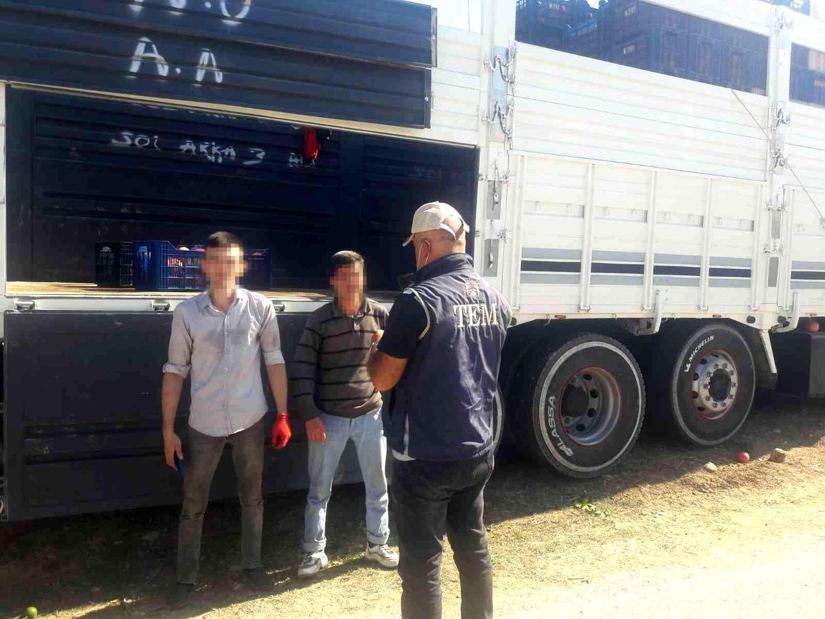 Manavgat İlçesinde yabancı uyruklu şahıslara yönelik uygulama