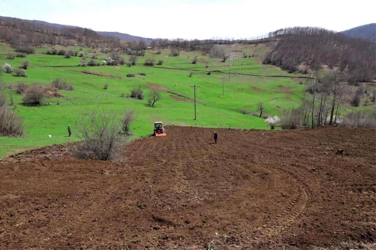 Ordu\'da üreticilere 54,5 ton tohum dağıtıldı